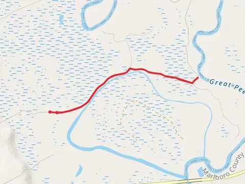 Great Pee Dee River Out and Back