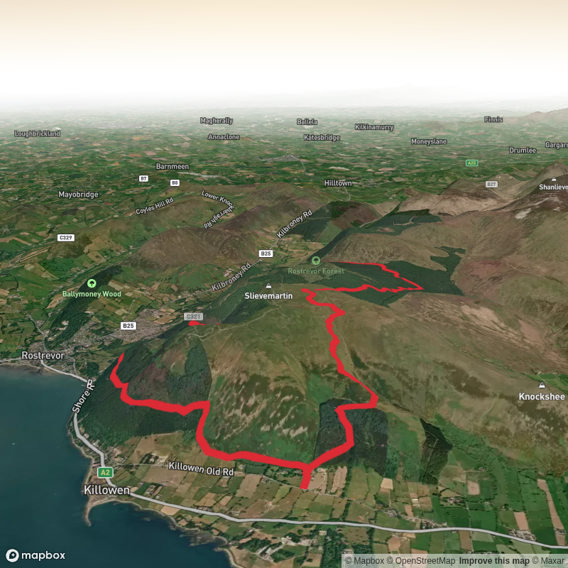 Rostrevor Forest Oakwood NNR Circular