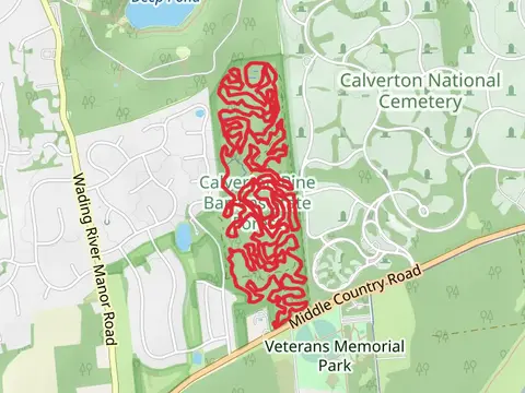 Calverton Mountain and Rollercoaster Loop