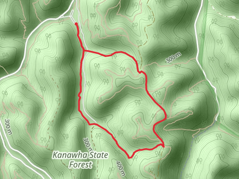 CCC Snipe, Mossy Rock and Alligator Rock Loop Trail