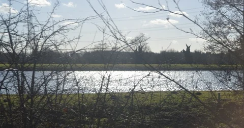 Shustoke Reservoir Loop