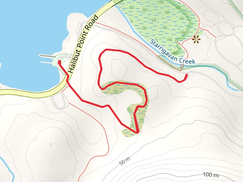 Starrigavan Forest and Muskeg Trail