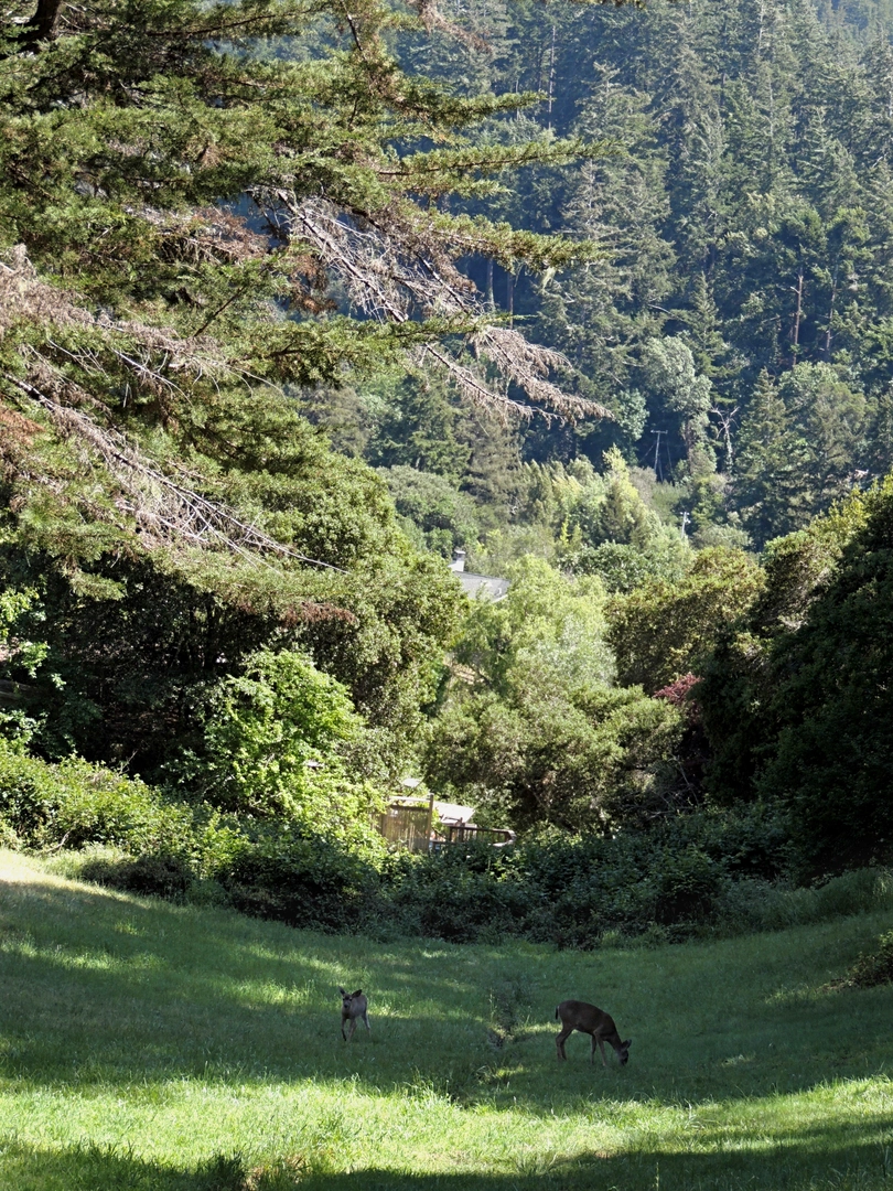 An image depicting the trail Thorner Ridge Loop Trail and its surrounding area.