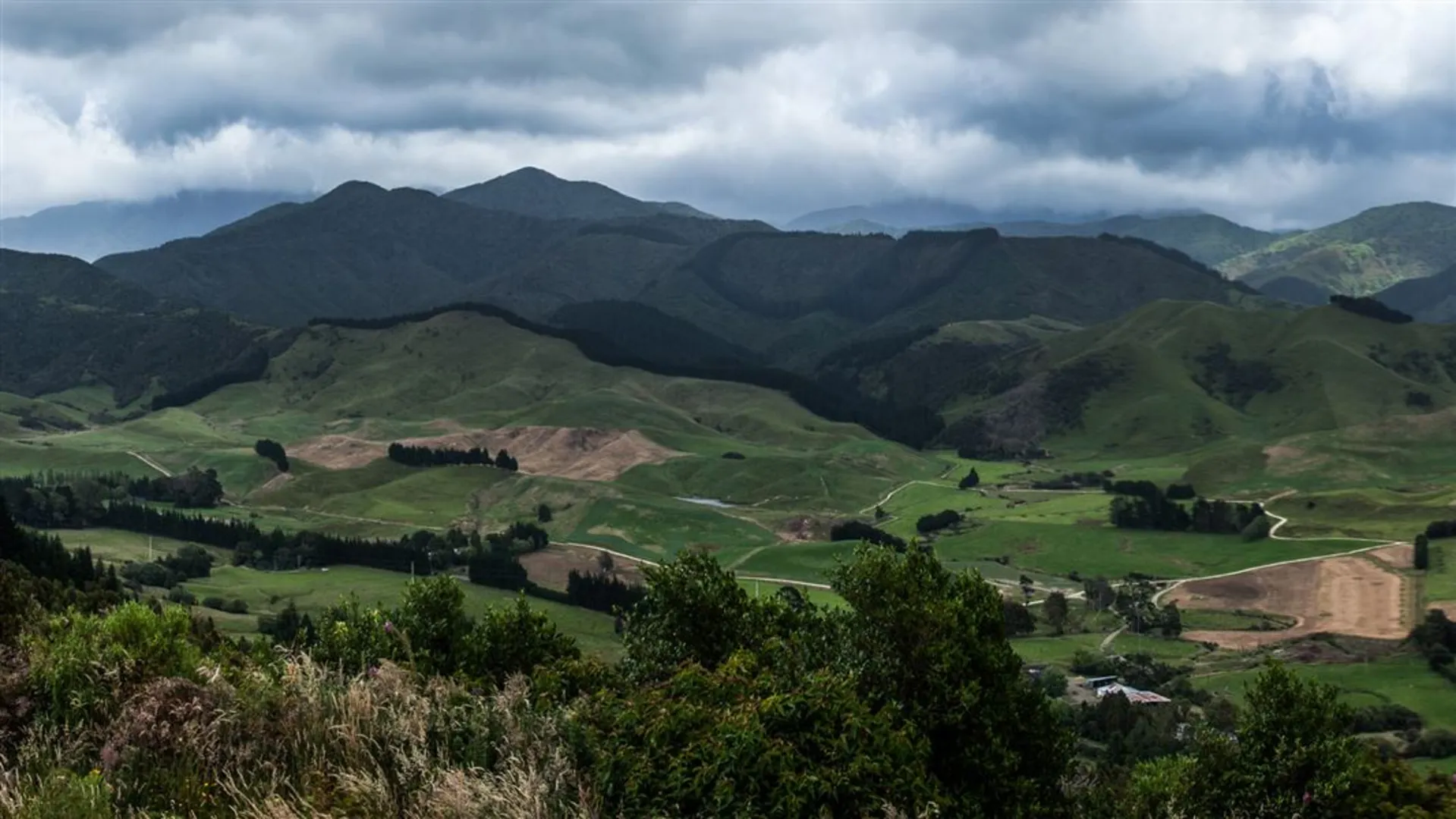 An image depicting the trail Te Arapiki O Tawhaki and its surrounding area.
