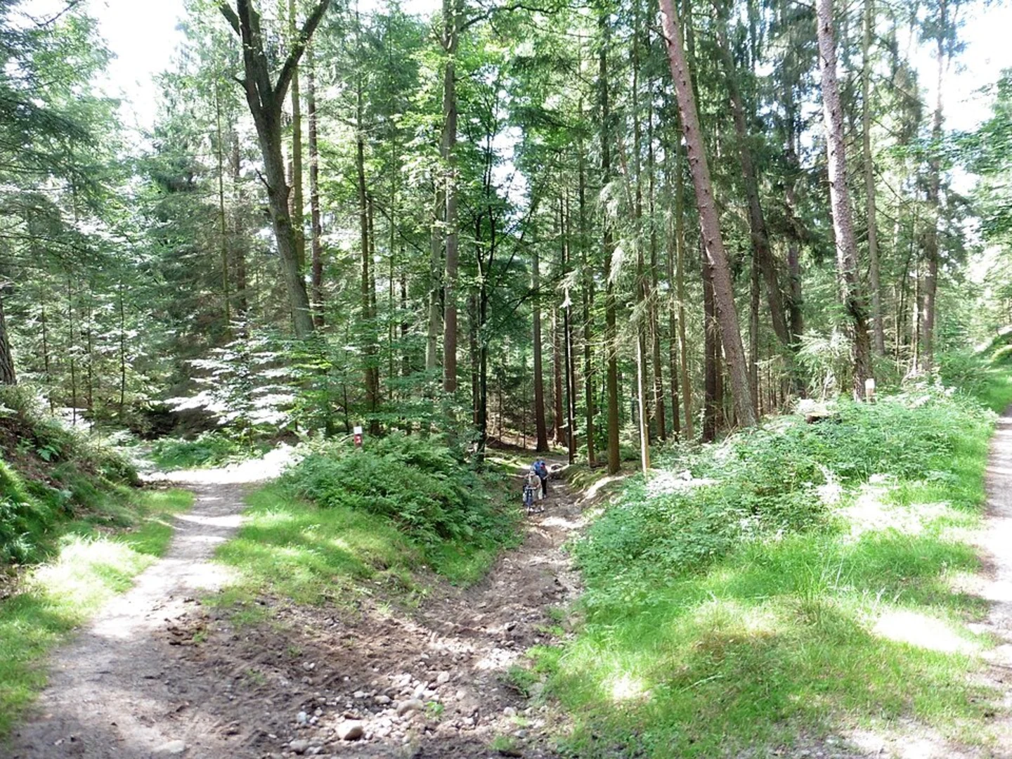 An image depicting the trail Neugraben to Ehestorf via Harburger Berge and its surrounding area.