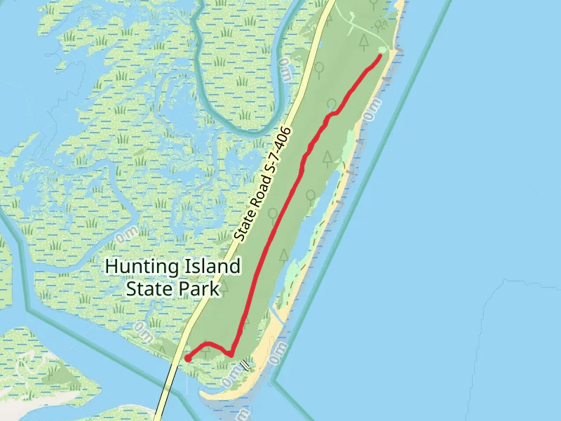 Hunting Island Nature