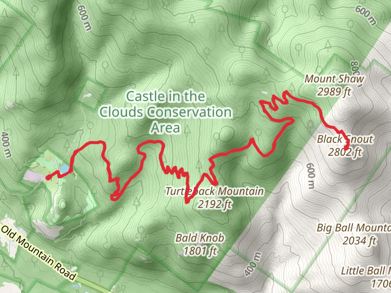 Black Snout Trail - Shannon Pond