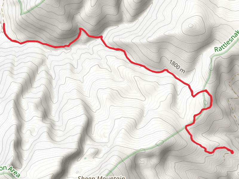 East Fork of Rattlesnake Creek via Upper Twin Creek Trail