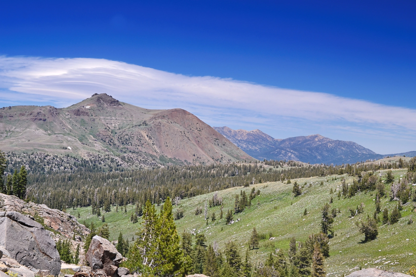 An image depicting the trail Camp Irene Trail and its surrounding area.