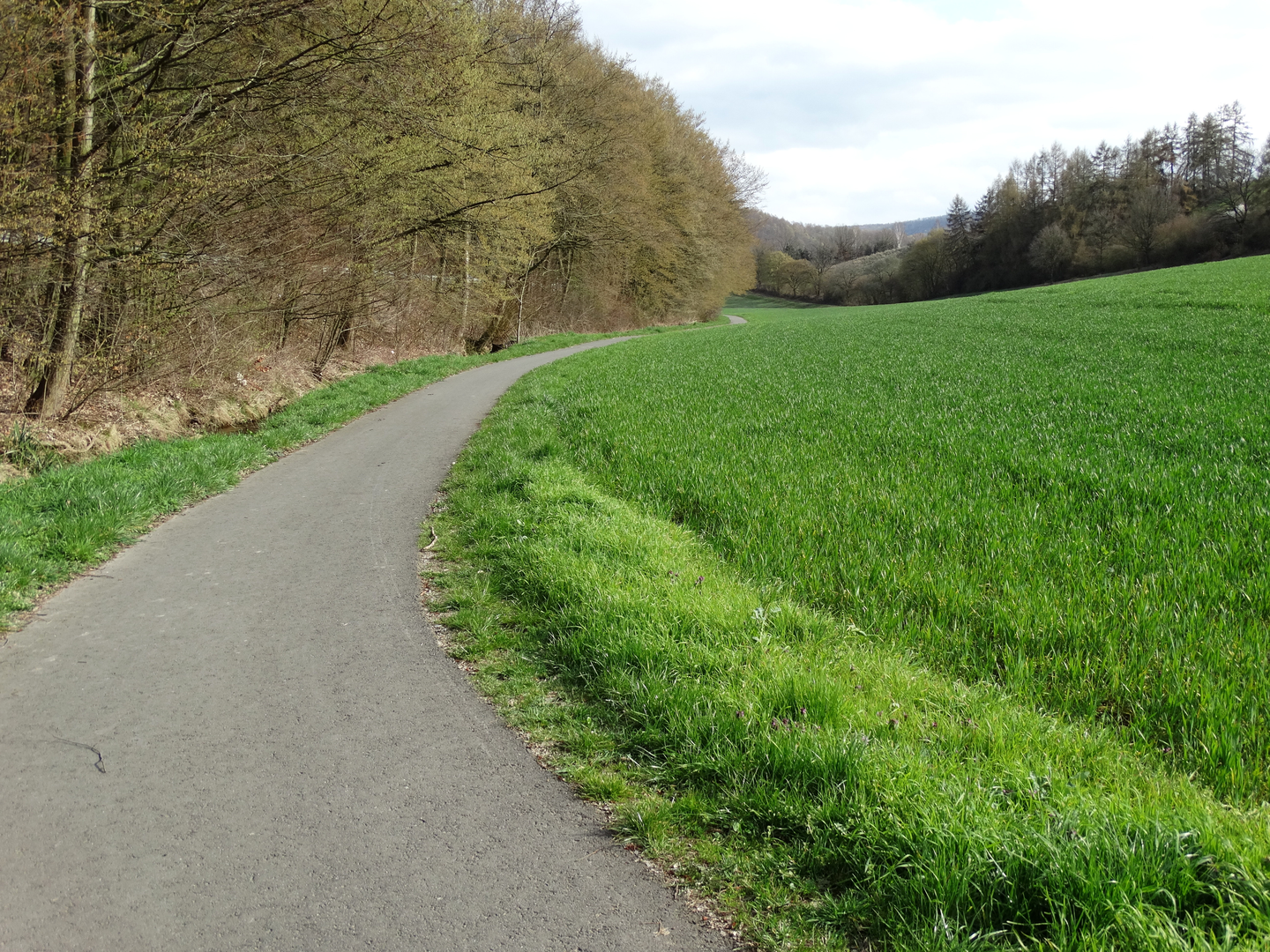 An image depicting the trail Ith-Hils-Weg and its surrounding area.