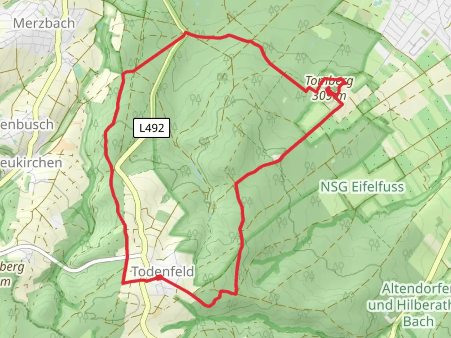 An image depicting the trail Todenfeld and NSG Rheinbacher Wald Loop via Tomburg Castle and its surrounding area.