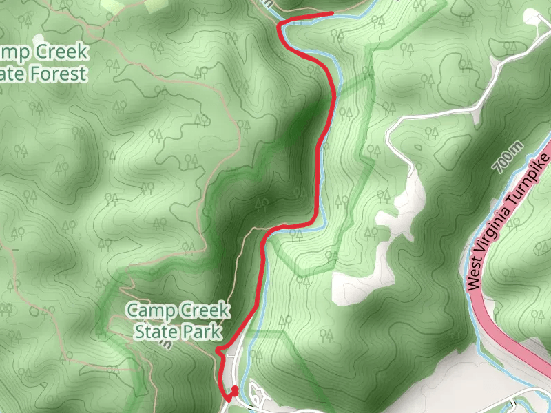 Camp Creek via Turkey Loop Road and Trail