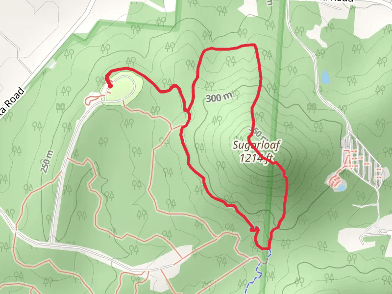 Sugarloaf Mountain Loop Trail