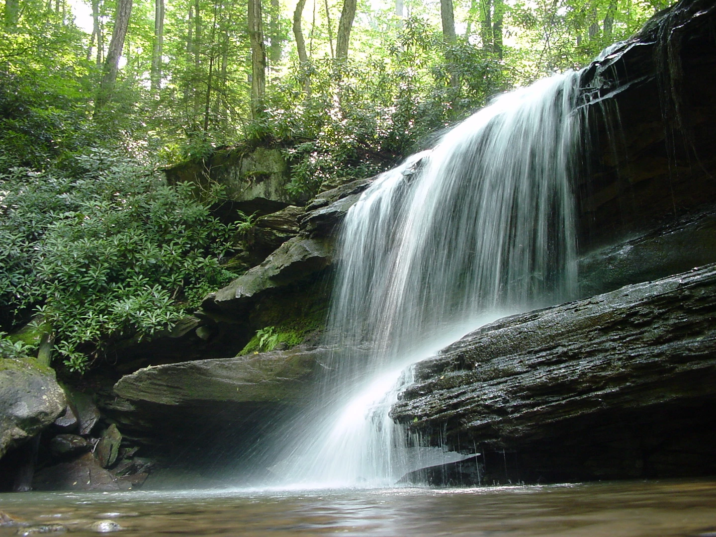 An image depicting the trail Jonathan Run Falls from Horseshoe Bend and its surrounding area.