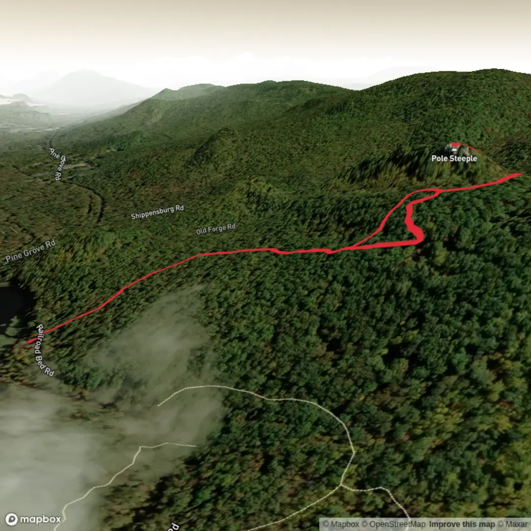 An image depicting the trail Pole Steeple and its surrounding area.