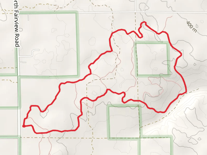 Ogemaw Hills Pathway Loop - Long