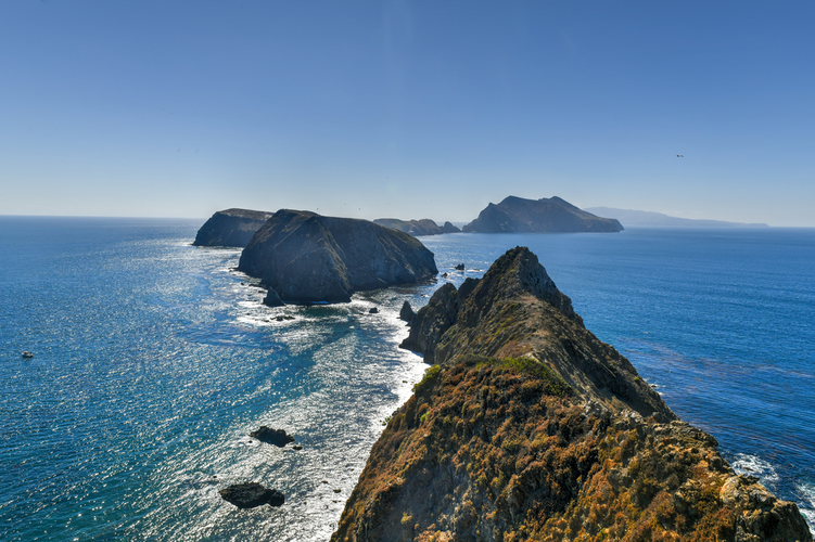 Pinniped Point Trail