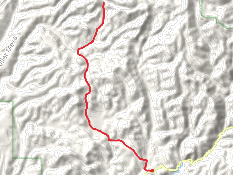 Rabb Park Trail