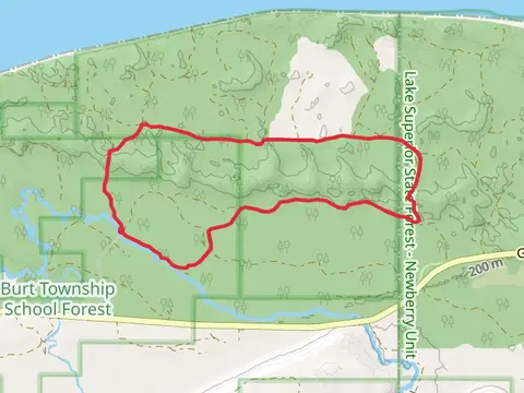 North Country Road and School Forest Road Loop