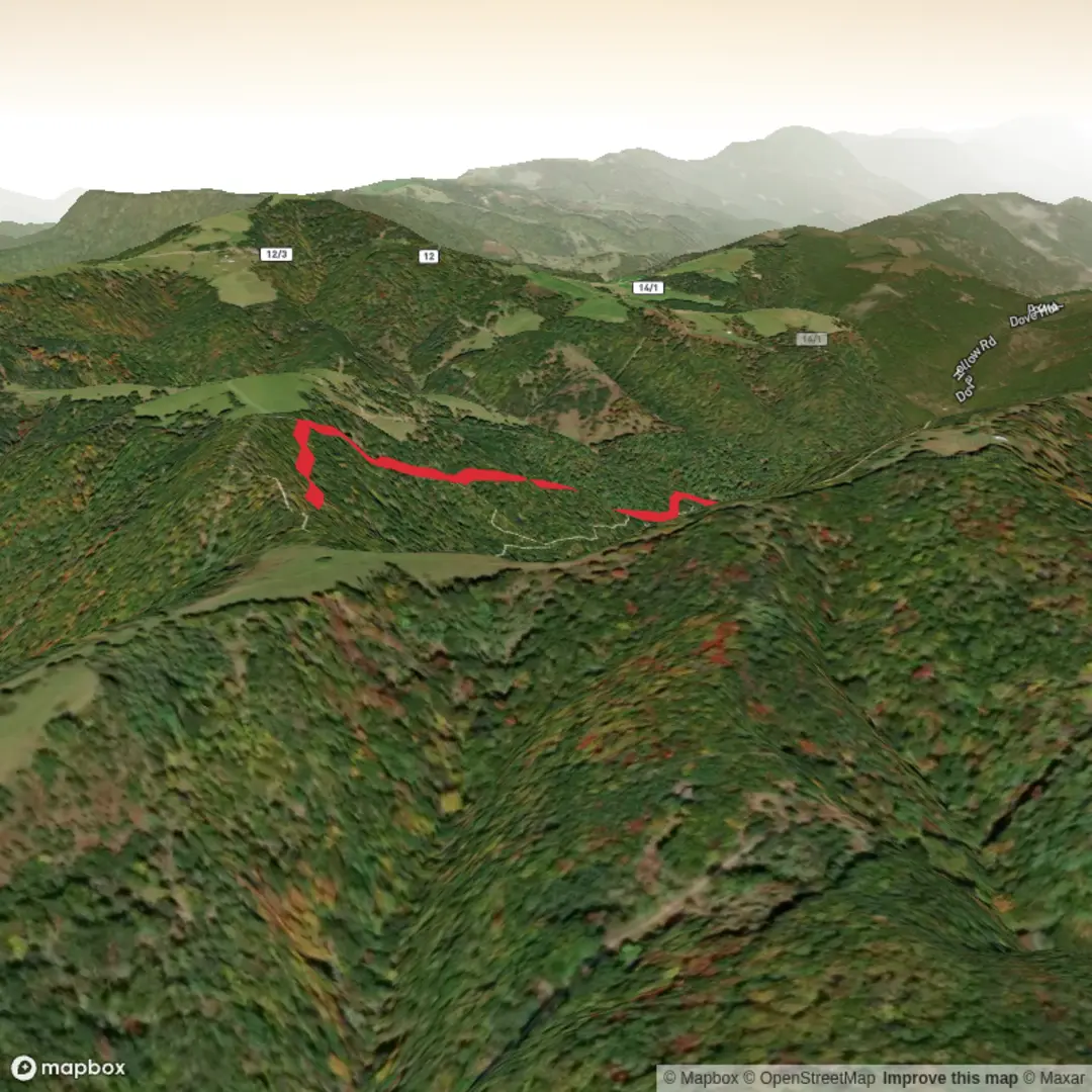 An image depicting the trail Copse Cove Trail and its surrounding area.