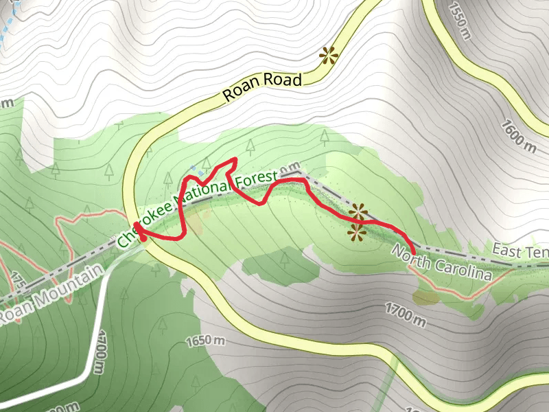 Round Bald via Appalachian Trail
