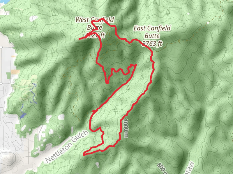 West Canfield Butte via Trail 5 and 8 Loop