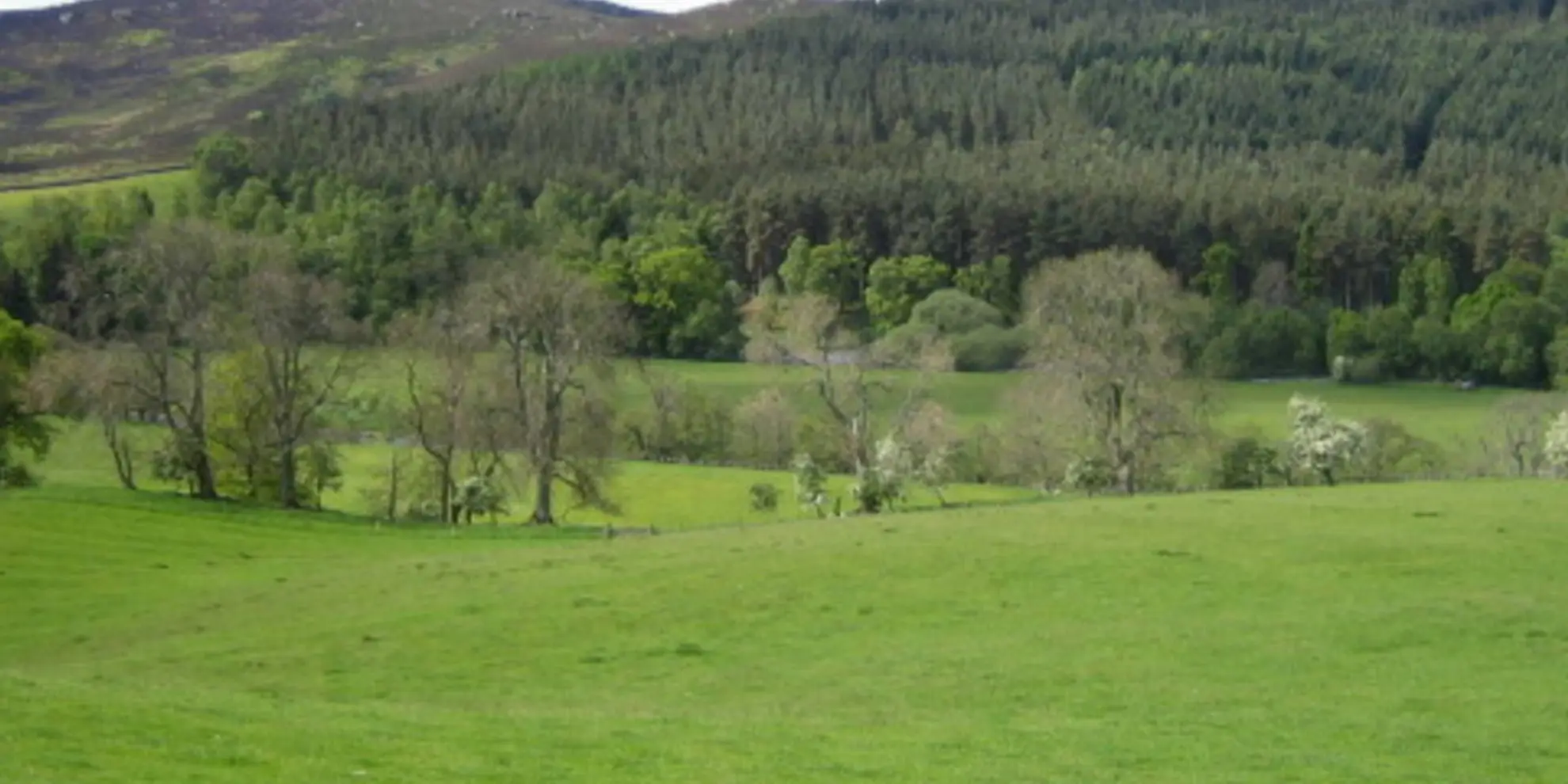 An image depicting the trail Copper Snout and Clennell Street and its surrounding area.