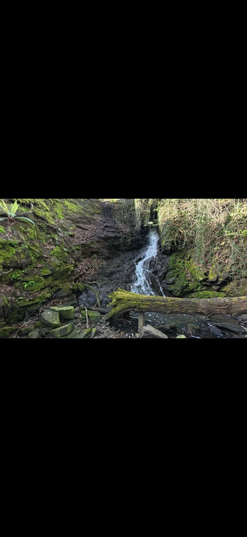 An image depicting the trail Hike Beech hill - Standish Circular Wigan and its surrounding area.