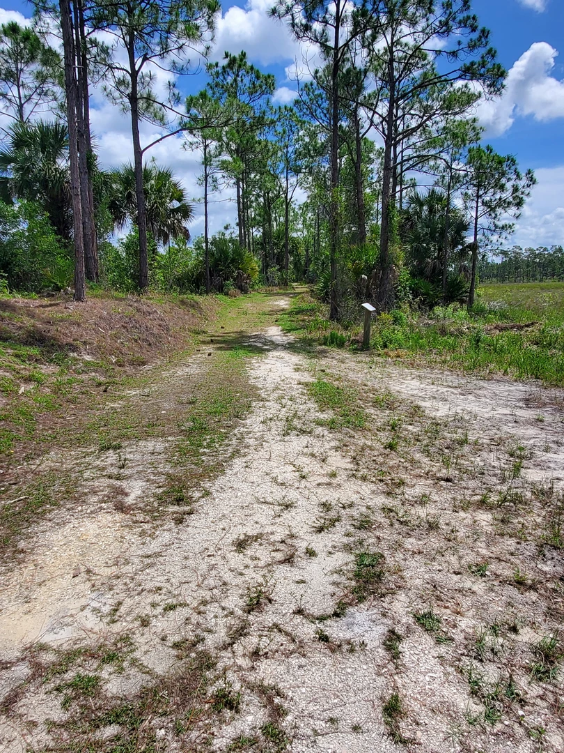 An image depicting the trail The Charlotte Environmental Flatwoods Trail and its surrounding area.