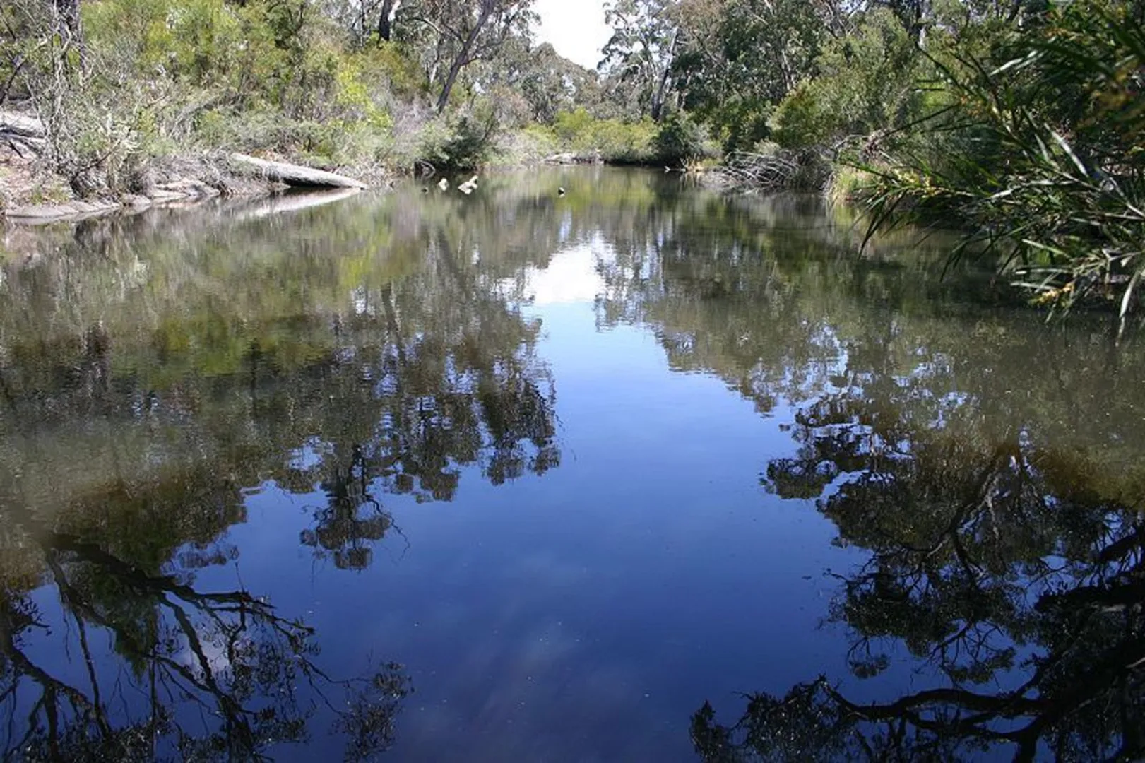 An image depicting the trail Creek Trail in Girraween National Park and its surrounding area.