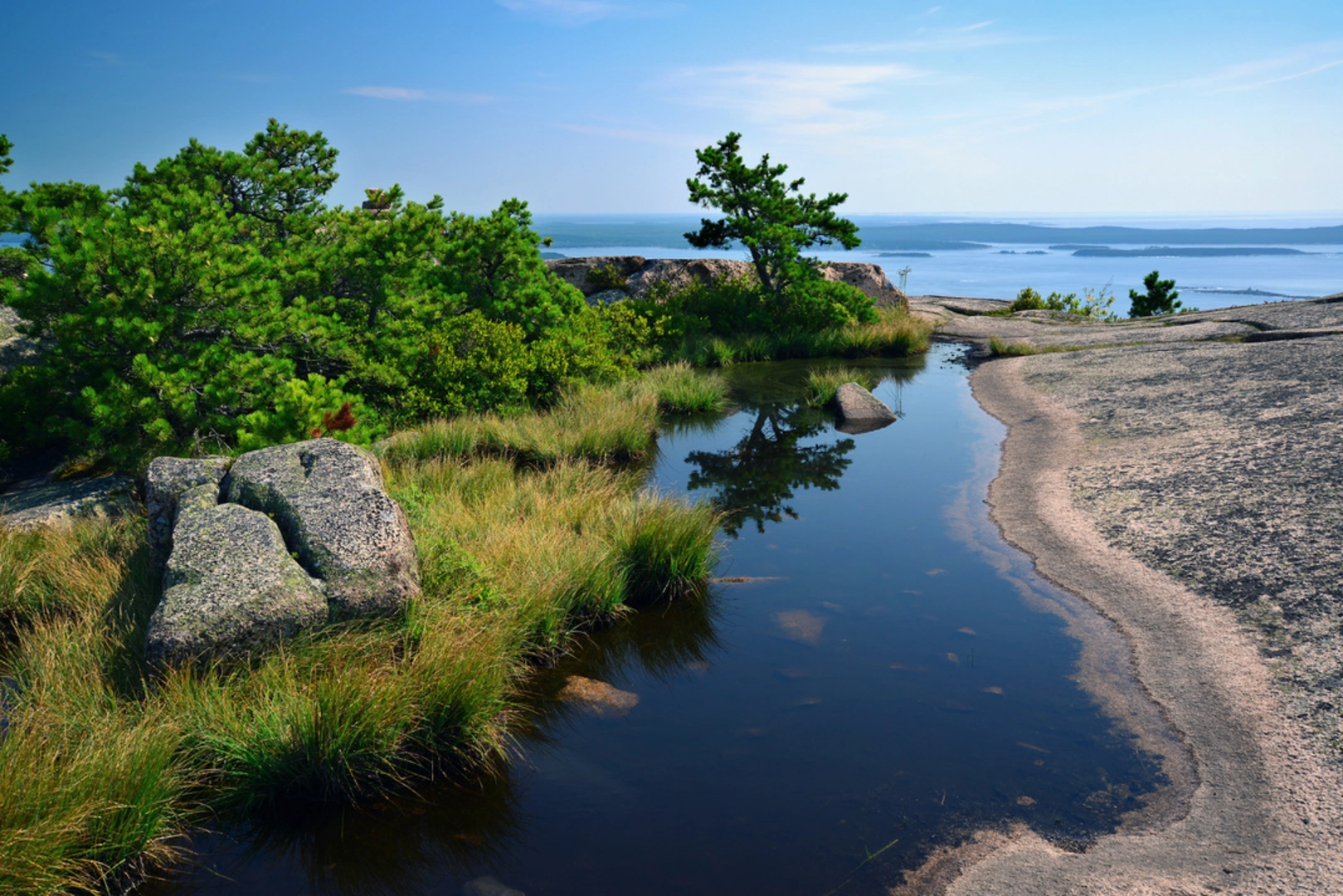 An image depicting the trail Champlain South Ridge via Bowl Trail and its surrounding area.