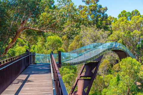 West Australian Botanic Garden Walk
