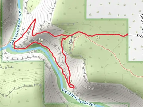 Scout Camp Loop Trail