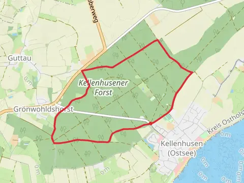 Waldroute Kellenhusen Loop