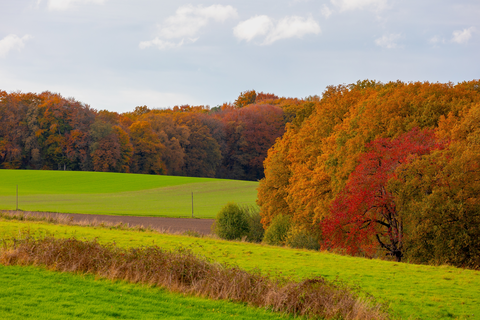 Leuth to Plasmolen via Wylerbergmeer, Duivelsberg and Ruine Romeinse Villa