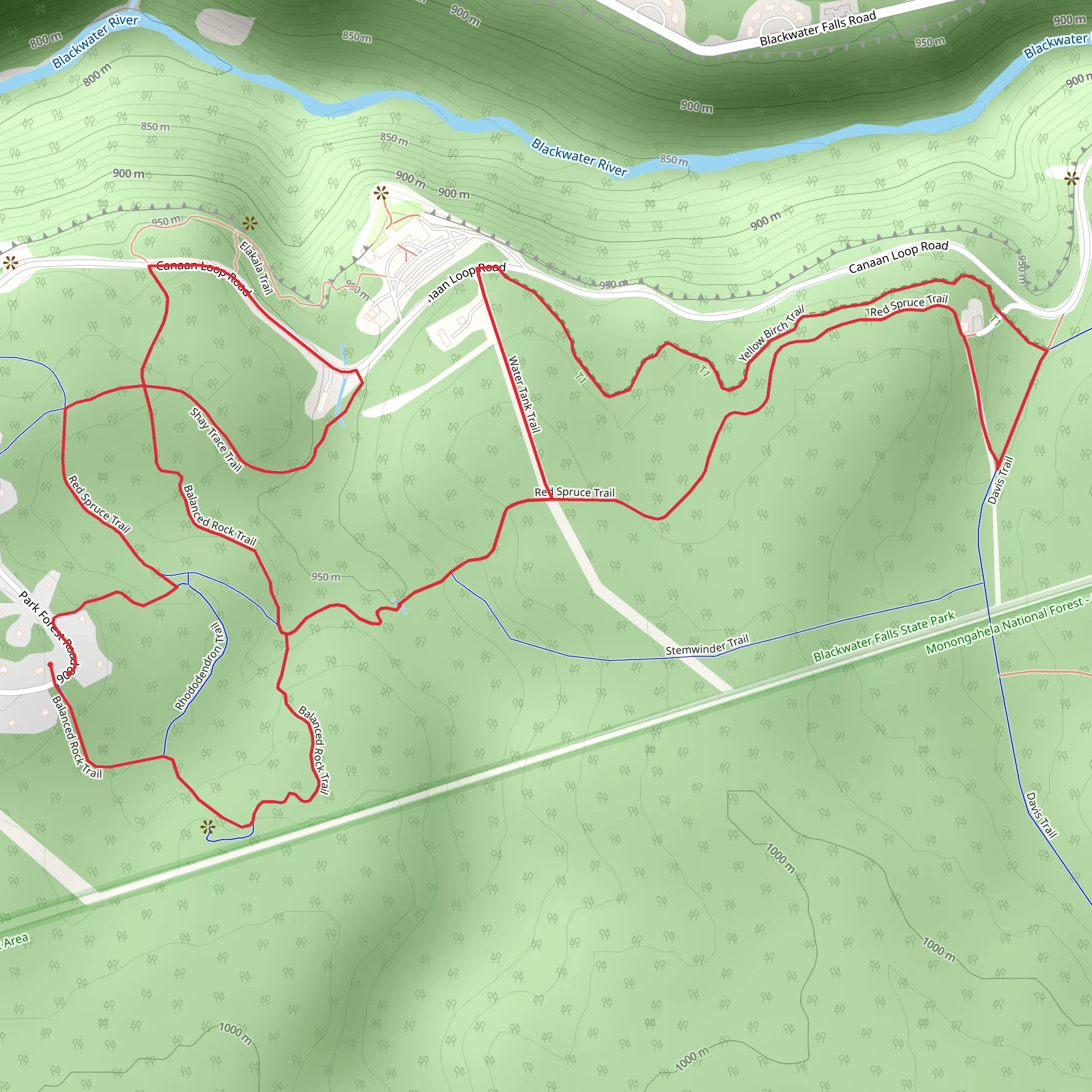 Balanced Rock and Yellow Birch Loop Trail mobile static map