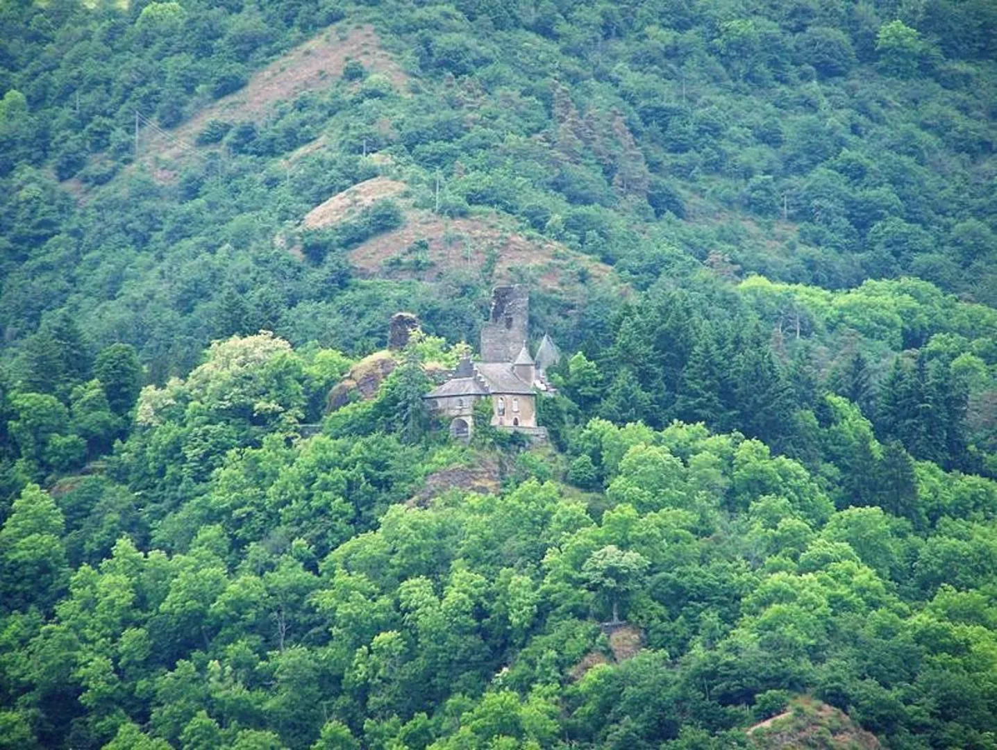 An image depicting the trail Ruine Falkenstein and Beidenberg Loop and its surrounding area.