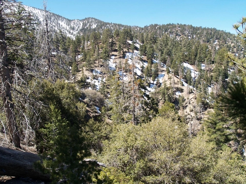 Forsee Creek, San Bernardino and Forsee Basin Loop Trail