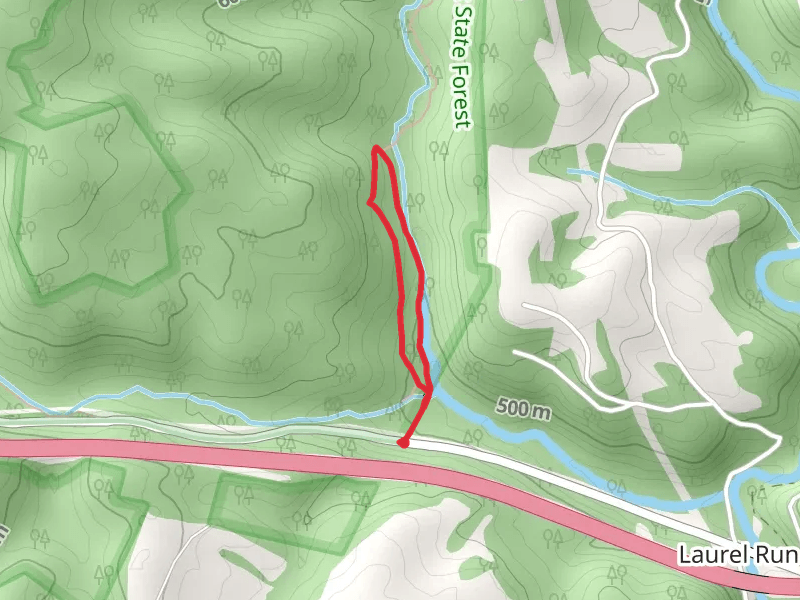 Virgin Hemlock Loop Trail