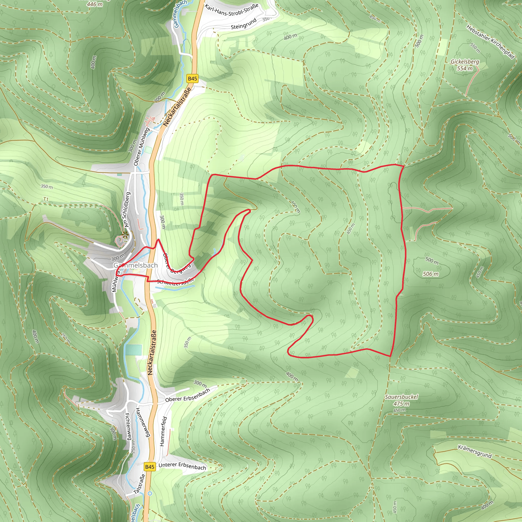 Rundwanderweg Sensbachtal and Gammelsbach mobile static map