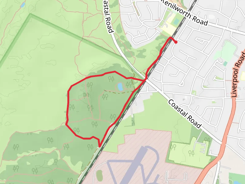 Ainsdale Pine Woods Loop