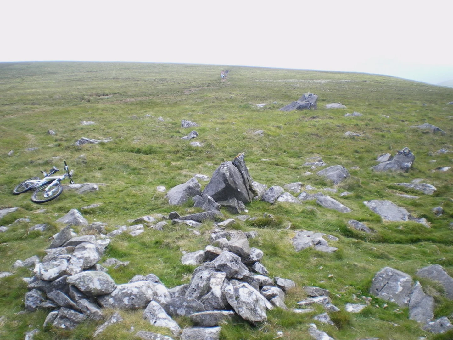An image depicting the trail The Golden Road Walk and its surrounding area.