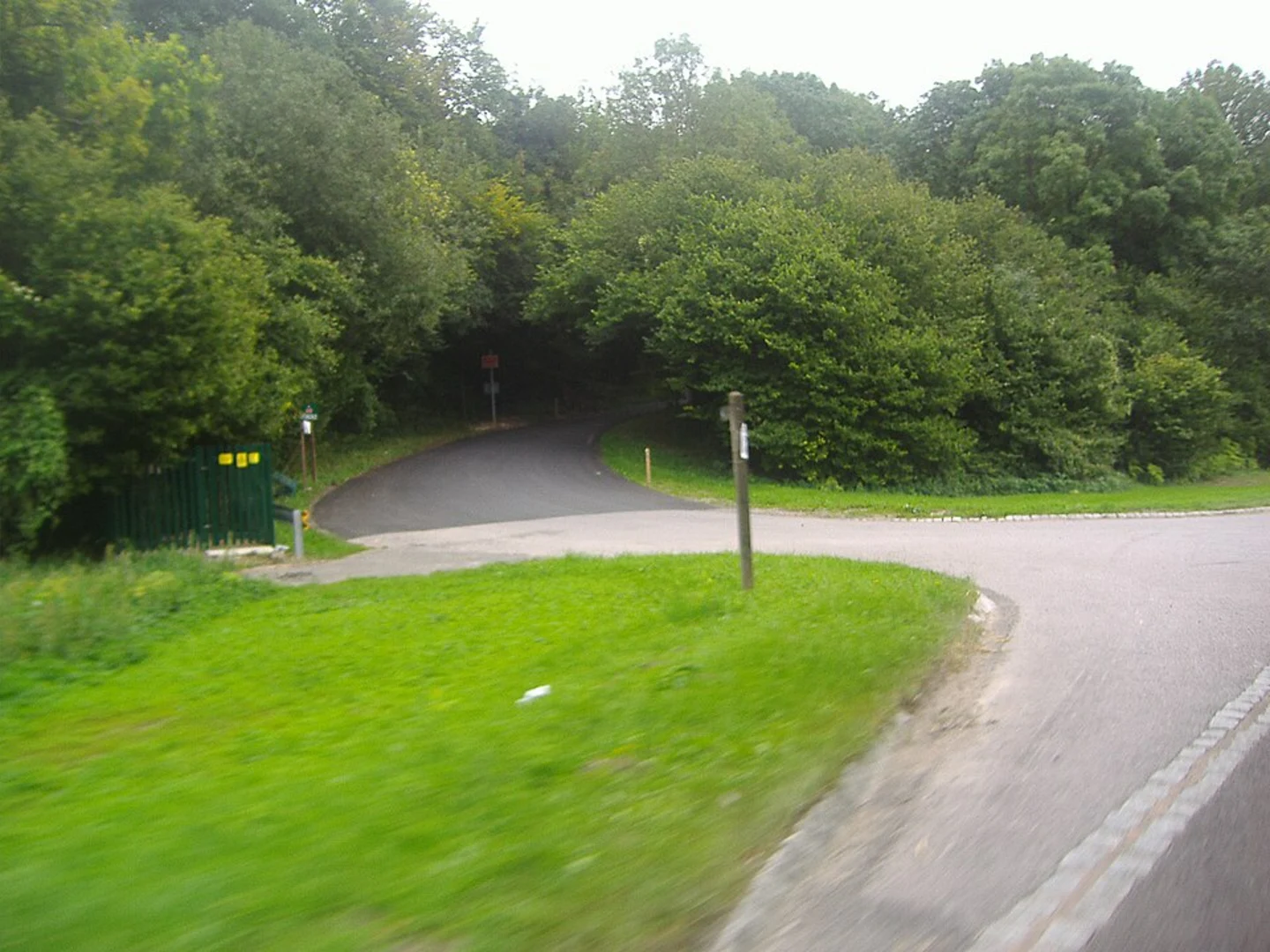 An image depicting the trail Nightingale Woods Loop and its surrounding area.