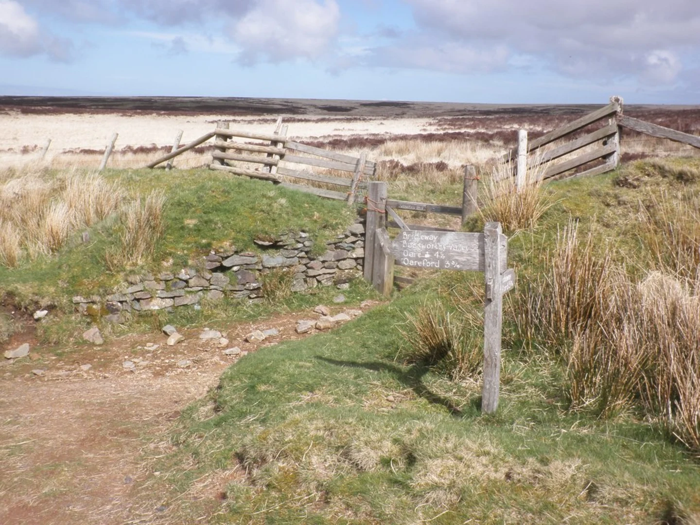 An image depicting the trail Dark Sky Discovery Trail and its surrounding area.