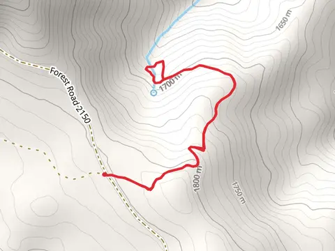 Cedar Grove Trail