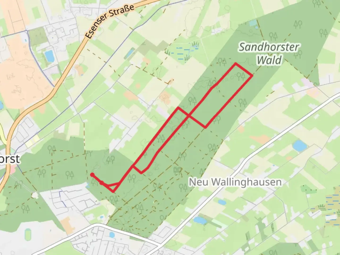 An image depicting the trail Sandhorst Knot and its surrounding area.