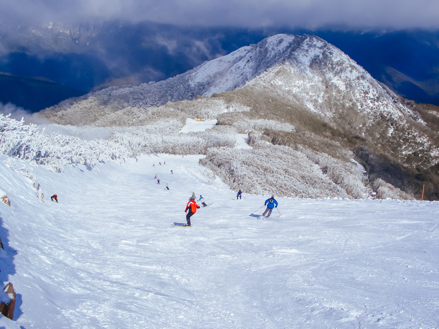 An image depicting the trail Mt Buller Summit Nature Walk and its surrounding area.