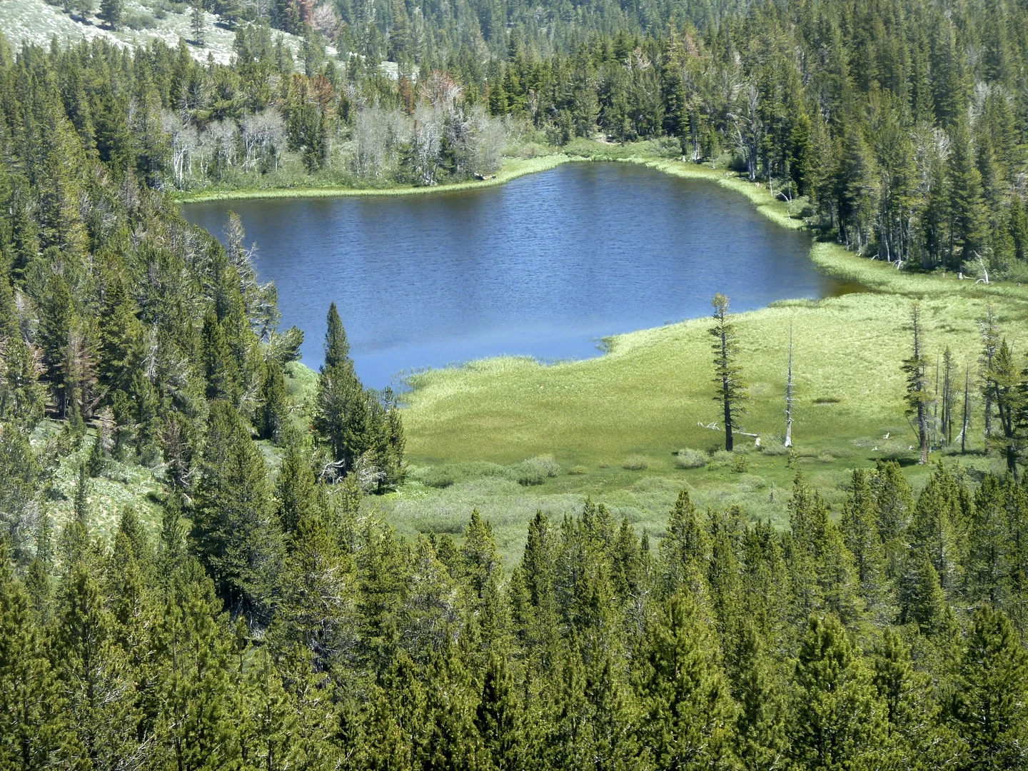 An image depicting the trail Mears Creek Loop and its surrounding area.