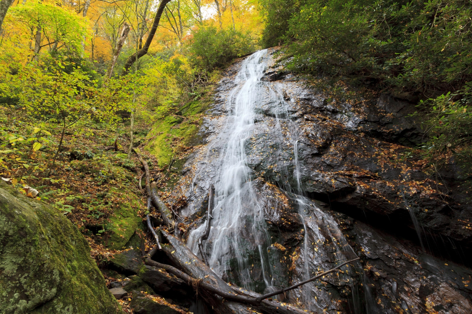 An image depicting the trail Rufus Morgan Trail and its surrounding area.