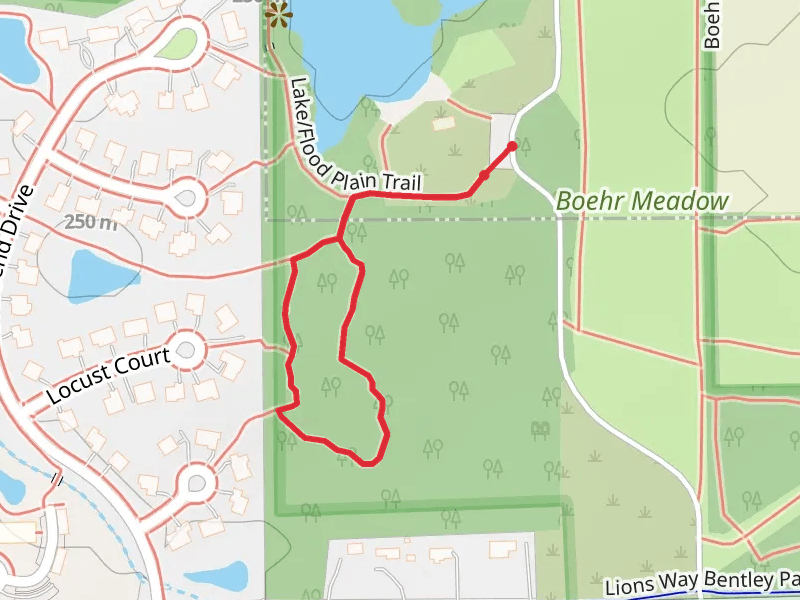 South Woods Loop